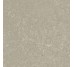 Плитка HWD 11 Greige Rett - 60x60 G9WD11R Wild з колекції Wild Del Conca