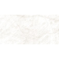 LUXE SNOW 004 POLISH 60x120 (універсальна)