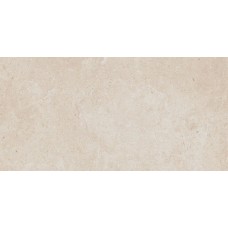 30 x 60 DALSE801 Limestone з колекції Limestone