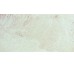 Плитка 31*60 Coliseum Ivory Newker