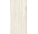 Плитка Invictus Ivory Kry - 60x120 CSAINVIK12 Invictus з колекції Invictus Santagostino