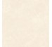 PUCCINI MARFIL MAT 60x60 (плитка для пола и стен)