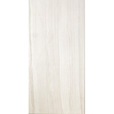 (49x99) PTE110R TRAV. ELEGANTE WHITE rettificato - Travertino Elegance з колекції Travertino Elegance Ascot (49x99) PTE110R TRAV. ELEGANTE WHITE rettificato - Travertino Elegance з колекції Travertino Elegance Ascot Travertino Elegante Керамічна плитка Ascot Ceramiche