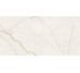 ARCADIA STONE WHITE MATT RECT 59.8х119.8 (плитка для полов и стен)