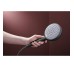 RAINDANCE ALIVE SELECT S ручний душ (3 типа струи RainAir, PowderRain, Massage), шліфованний чорний хром