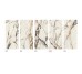 G2705 PAONAZZO BIONDO SILK 04 120x270 (плитка настінна)
