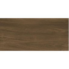 Ewood Honey Nature 120x250 XLight з колекції XLight Ewood Honey Nature 120x250 XLight з колекції XLight
