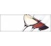 Декор Decor A 02 10x30 Wine Absolut Keramika з колекції Wine Absolut Keramika