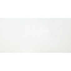 (25x50.2) IC010 White Matt - Icon з колекції Icon Ascot (25x50.2) IC010 White Matt - Icon з колекції Icon Ascot Icon Керамічна плитка Ascot Ceramiche