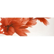 Декор (31.6x90) Decor Jazz Flor B - Jazz из коллекции Jazz Декор (31.6x90) Decor Jazz Flor B - Jazz из коллекции Jazz Jazz Керамическая плитка Fanal