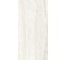Плитка Invictus White As - 60x120 CSAINVWA12 Invictus з колекції Invictus Santagostino