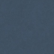 D5 10x10 Color Color з колекції Color Color