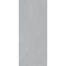120X278 Pigmento Grigio Avio Eln8 из коллекции Pigmento