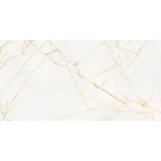 0017238 SPR.HEDON. GOLD SPID. LUX 3D R 60X120 (1 сорт)
