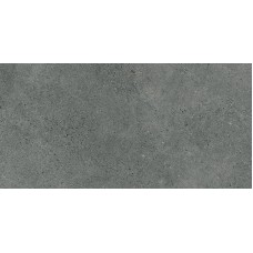 AUTHORITY GRAPHITE REKT. MAT 60х120 (плитка для підлоги і стін) 8 мм