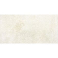 (45x90) 54AT47P Atlas Pulido Blanco - Atlas з колекції Atlas