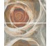 Decor (32.5x60) CARRARA FLOR 1(1 pc from set 2 pc) з колекції Carrara Fanal