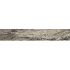 (15x90) 914D8R Grey Bark Rett L - Petrified Tree з колекції Petrified Tree Emilceramica (15x90) 914D8R Grey Bark Rett L - Petrified Tree з колекції Petrified Tree Emilceramica Petrified Tree Керамічна плитка Emil Ceramica — сторінка 2
