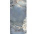 Плитка ONICE REALE OCEANO 60x120 NAT/RET з колекції Onice Reale Tagina