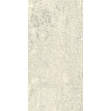 (30x60) 3742210391 Dual Platina Polido - Dual из коллекции Dual Dual Керамическая плитка Revigres