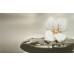 Декор (32.5х60) LUXE WHITE BANO 1 з колекції Luxe Fanal