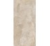 Плитка CAMOUFLAGE GOLD VERN NAT R - 60x120 PF60014257 Camouflage з колекції Camouflage Ariana