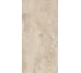 Плитка CAMOUFLAGE GOLD VERN NAT R - 60x120 PF60014257 Camouflage з колекції Camouflage Ariana