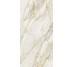 Плитка Creme Glossy 120x240 Etoile Rex з колекції Etoile Rex