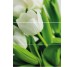 Декор (27х60) DECOR AFRODISIA-3 (комплект из 3шт) из коллекции Hipnotic Novogres