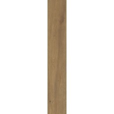 ELISIR TOUCH MIELE - 20x120 J738 Elisir Touch злекції Elisir Touch Elisir Touch