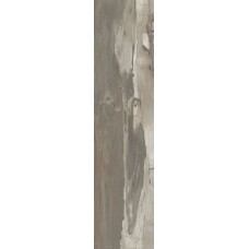(24.3x99.5) PO2590R Petrified Wood Musk Rettificato - Petrified Wood з колекції Petrified Wood Ascot (24.3x99.5) PO2590R Petrified Wood Musk Rettificato - Petrified Wood з колекції Petrified Wood Ascot
