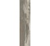 Плитка (24.3x99.5) PO2590R Petrified Wood Musk Rettificato - Petrified Wood з колекції Petrified Wood Ascot