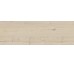 Плитка 40*120 Woodtale Xt20 Betulla Rett R51V 20 Mm Ragno