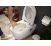Унітаз підвісний EluPura S 540 мм AquaFall Flush 60193450 + сидіння soft close 60148450