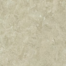 80X80 Mapierre Ancienne Naturel Nat Rett Elq8 з колекції Mapierre Mapierre Керамічна плитка Emil Ceramica — сторінка 4