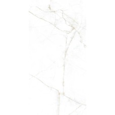 60x120 31741 DUAL WHITE//EP Dual из коллекции Dual 60x120 31741 DUAL WHITE//EP Dual из коллекции Dual