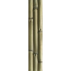 (10x50) Albufera Verde - Albufera з колекції Albufera (10x50) Albufera Verde - Albufera з колекції Albufera