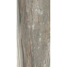 Tropical Glossy 6 mm 60x120 Etoile з колекції Etoile Tropical Glossy 6 mm 60x120 Etoile з колекції Etoile