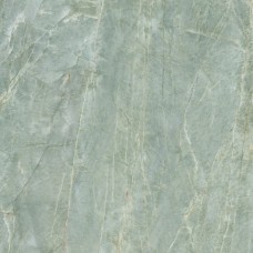 59.4x59.4 0500889 Lush Onice Verde Lux Lush з колекції Lush 59.4x59.4 0500889 Lush Onice Verde Lux Lush з колекції Lush LUSH Керамічна плитка Roberto Cavalli