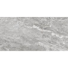 Premium Grey - 60x120 Premium из коллекции Premium Premium