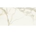 Плитка SCULTOREA CALACATTA ORO FINO 6 MM - 60x120 J646 Scultorea из коллекции Scultorea Marca Corona