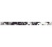 Бордюр WLASZ005 60x4,5 Tendence з колекції Tendence Rako