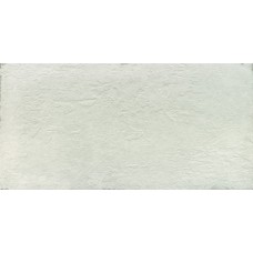 (40x80) 4206 Perla - 4206 из коллекции 4206 4206 Керамическая плитка Porcelanite Dos