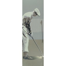 Декор 31,9x96,3 Decoro Country Club Golf B - The Club - 24167 - злекції The Club