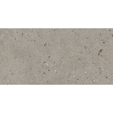 Light Grey - 29.5x59.2 K6016RC Ebro из коллекции Ebro Light Grey - 29.5x59.2 K6016RC Ebro из коллекции Ebro Ebro Керамическая плитка Aleluia