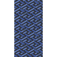 ICONS GRE MAXI BLUE RET - 60x120 PF60011020 Icons из коллекции Icons Icons Керамическая плитка Versace