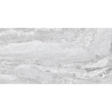 Premium Silver - 60x120 Premium из коллекции Premium Premium