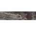 Плитка Power Lux 14.7x59.4 Rock Symphony Roberto Cavalli з колекції Rock Symphony Roberto Cavalli