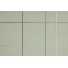 13x13 C1313 Chroma lichen green Chroma з колекції Chroma Chroma Керамічна плитка Aleluia