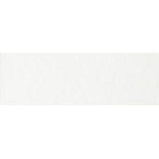 25x75 Evolution White - Evolution - EVO2510C з колекції Evolution Ascot